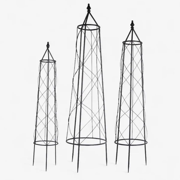 Ivy Plant Trellis (Set of 3)