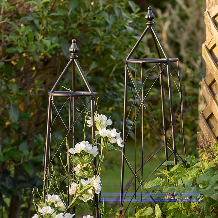 Ivy Plant Trellis (Set of 3)