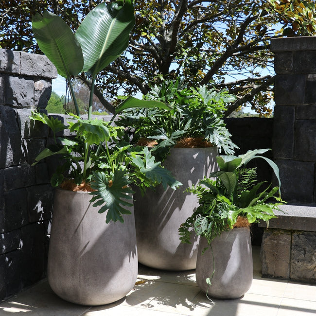 Karamea Weathered Cement Outdoor Planter Pot - Medium