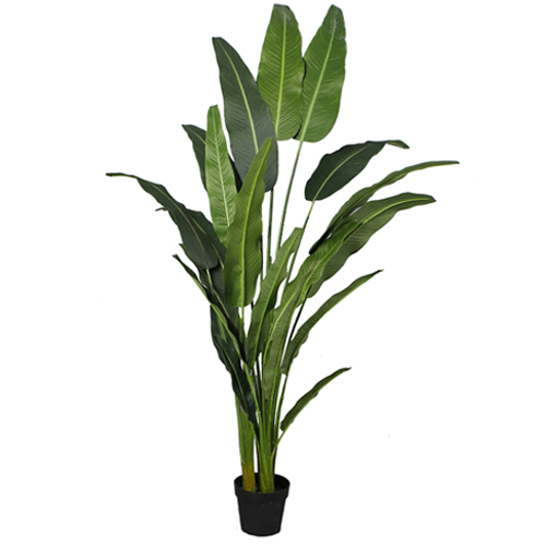 Potted Artificial Travellers Palm Tree 200cm Greenslades Furniture