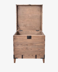 Beckham Trunk Side Table