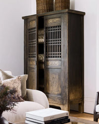 Nomad 2 Door Cabinet Blackened