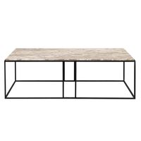 Dion Marble Coffee Table - Beige
