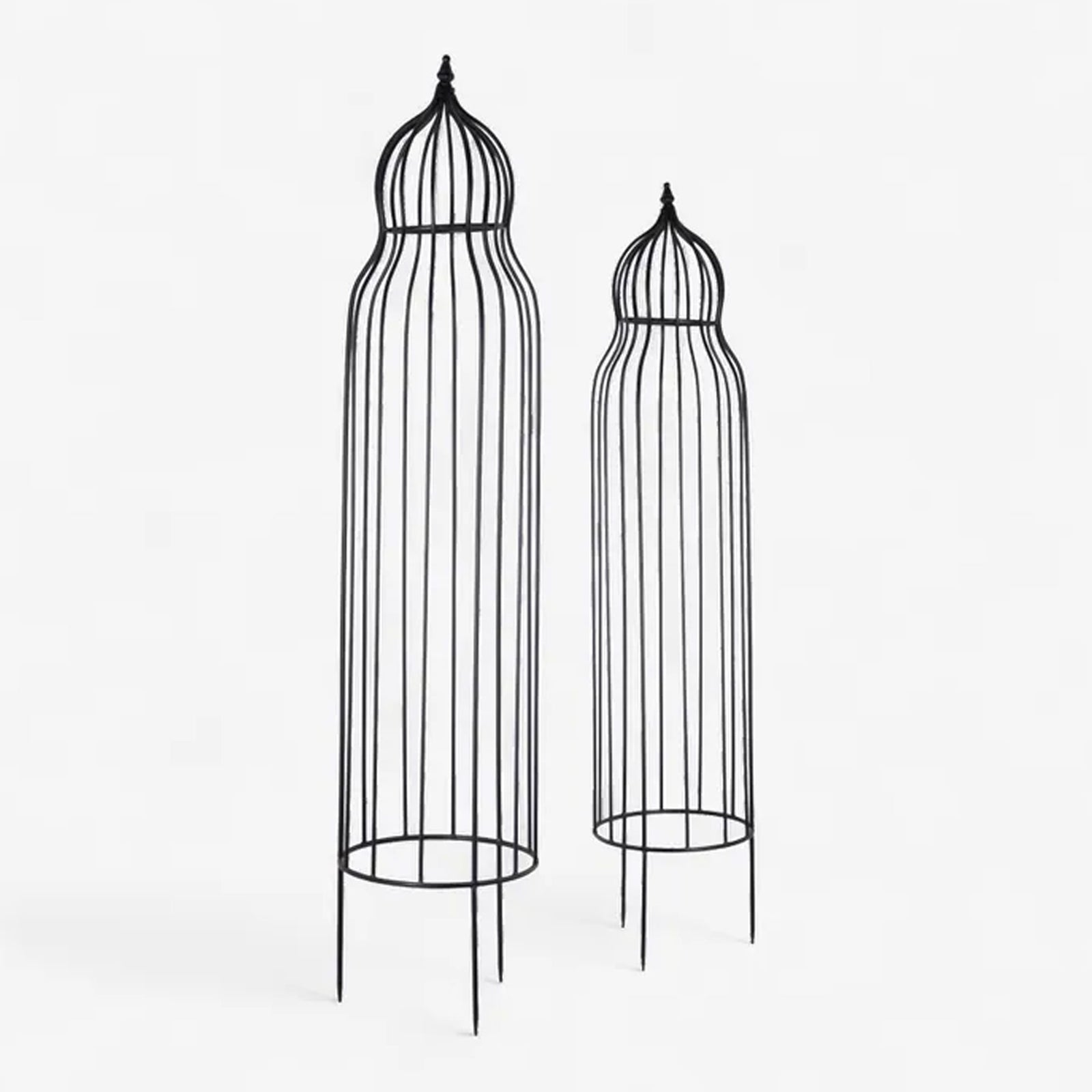 Eden Plant Trellis (Set of 2)