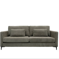 Gray sofa with two cushions on a white background
