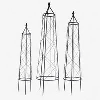 Ivy Plant Trellis (Set of 3)