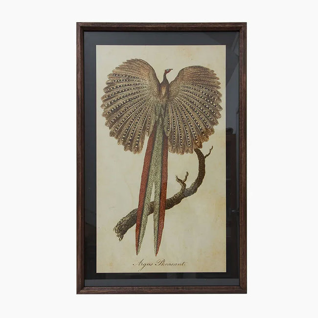 Pheasant Wall Art