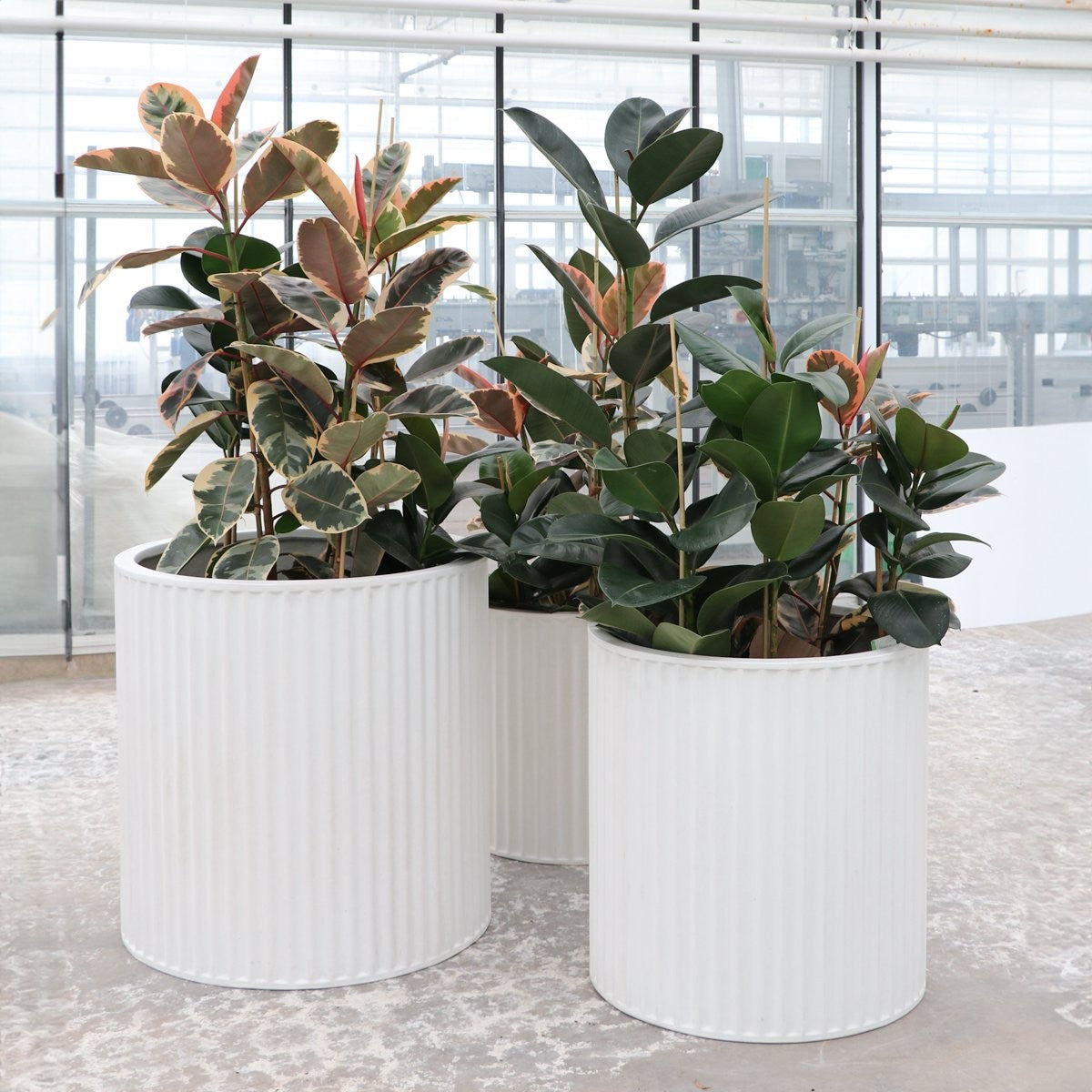 Piako Ribbed White Outdoor Planter - Medium