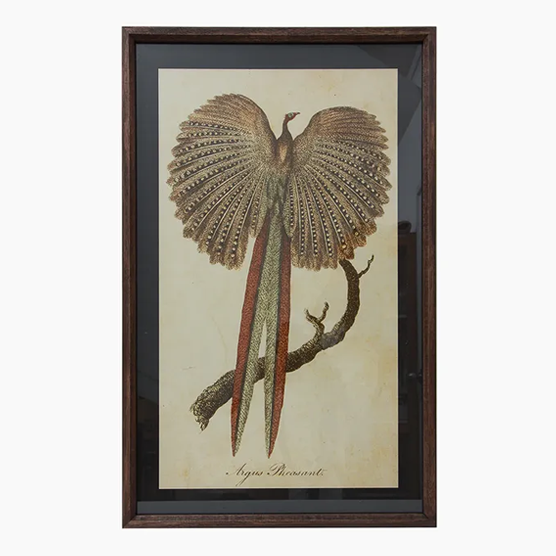 Pheasant and Lyre Bird Wall Art - Set of 2
