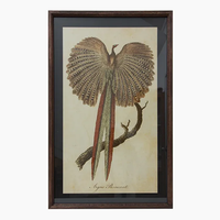 Pheasant and Lyre Bird Wall Art - Set of 2