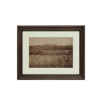 Pastural Glade Landscape Framed Print