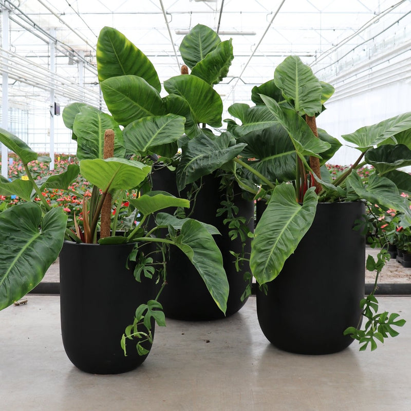 Oreti Black Outdoor Planter Pot - Large