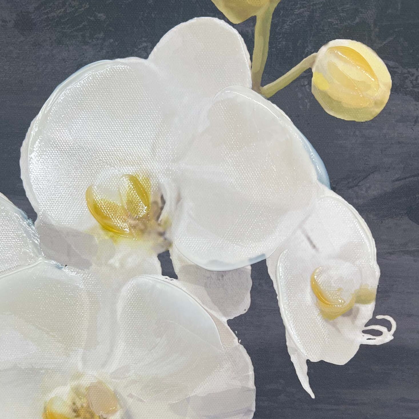 Potted Orchid Art Print on Canvas