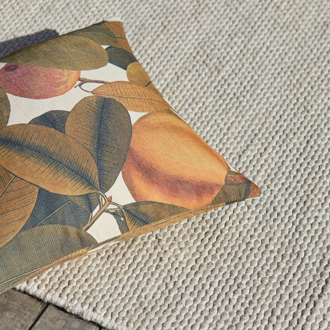 Andorra Outdoor Rug - Oatmeal - 200cm x 300cm