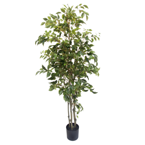 Potted Artificial Ficus Tree - 150cm