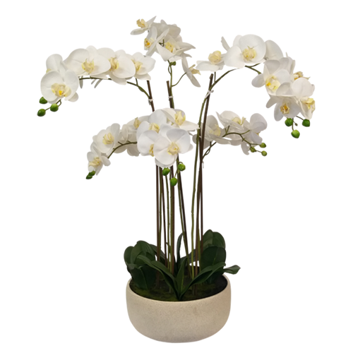 Artificial Large Orchid in Cream Cement Pot