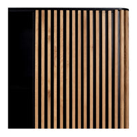 Bauhaus Cabinet - Black & Oak