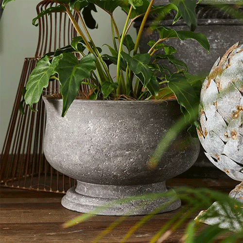Orchid Pot - Small