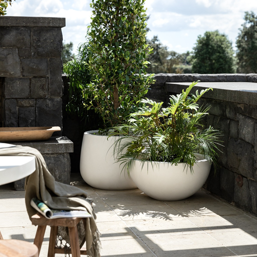 outdoor pot plants nz Awatere White Planter Pot