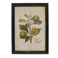 Botanical Wall Art Prints - Set of 4