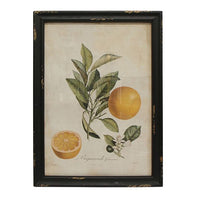 Botanical Wall Art Prints - Set of 4