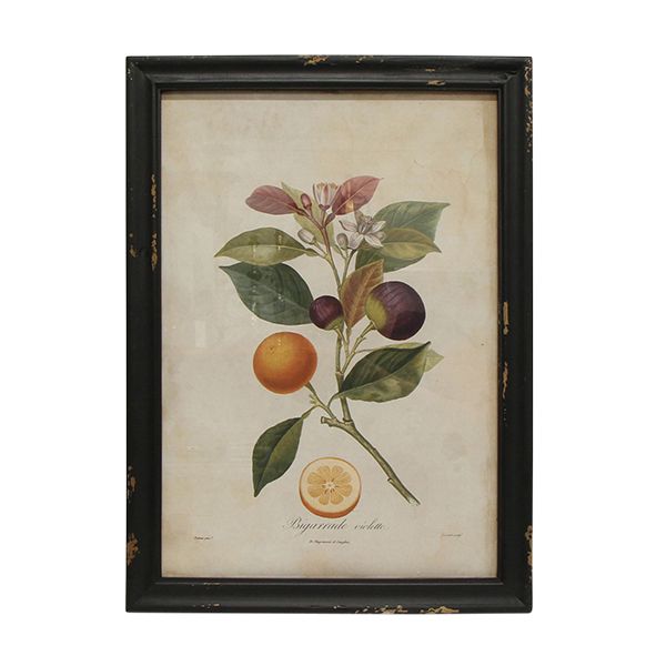 Botanical Wall Art Prints - Set of 4