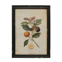 Botanical Wall Art Prints - Set of 4