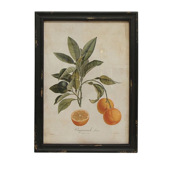 Botanical Wall Art Prints - Set of 4