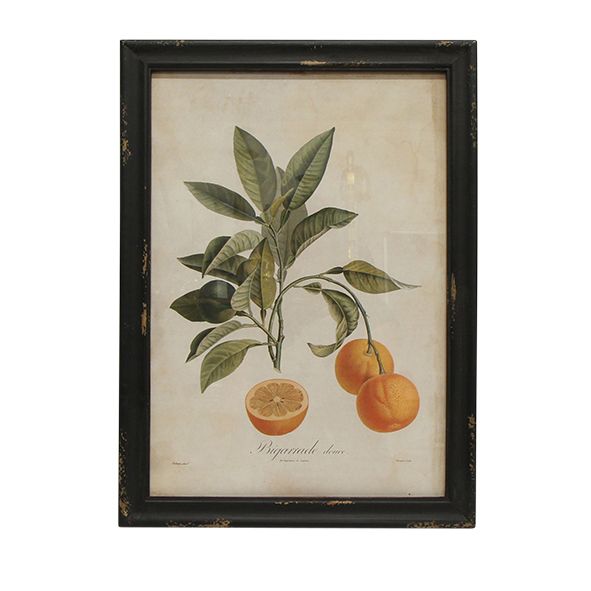 Botanical Wall Art Prints - Set of 4