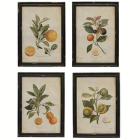 Botanical Wall Art Prints - Set of 4