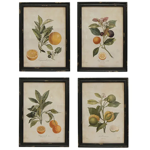 Botanical Wall Art Prints - Set of 4