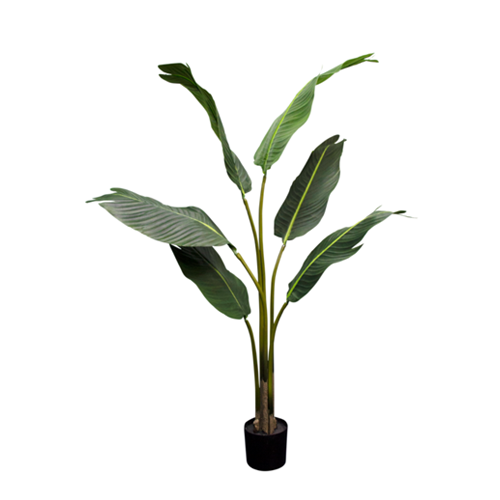 Potted Artificial Strelitzia Nicolai Tree - 120cm