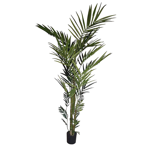 Potted Artificial  Kentia Palm Tree - 240cm