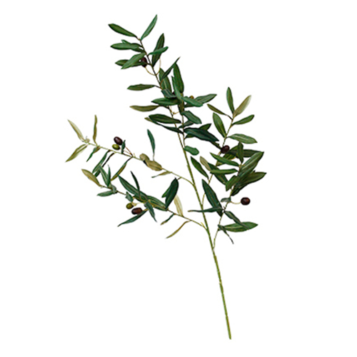 olive branch faux